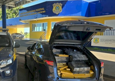 PRF apreende 1,2 tonelada de maconha em Ivinhema
