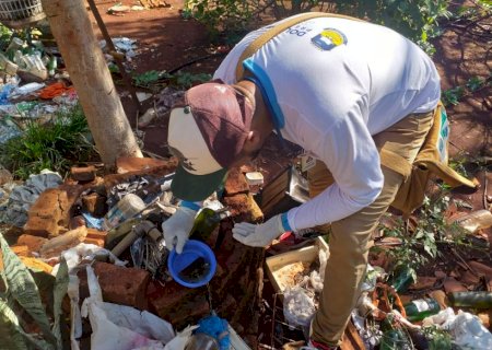 Agentes de endemias vistoriam mais 1.349 imóveis e identificam 6 focos de Chikungunya