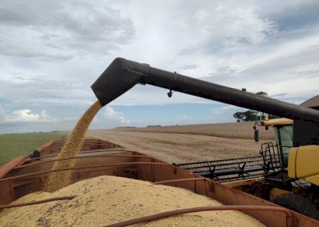 Conclusão da safra de soja impulsiona superávit de US$ 958 milhões em Mato Grosso do Sul
