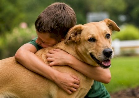 Prefeitura torna obrigatória educação sobre proteção e bem-estar animal na Reme