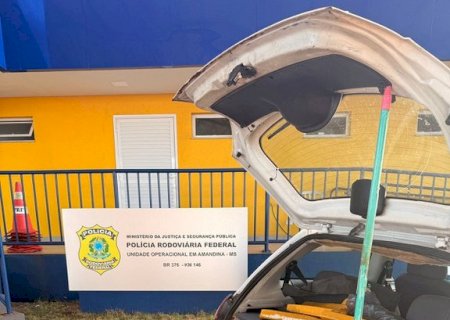 PRF apreende 169 Kg de maconha em Nova Andradina
