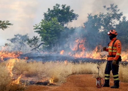 Bombeiros de MS se preparam para temporada de incêndios florestais com treinamentos e ações em campo