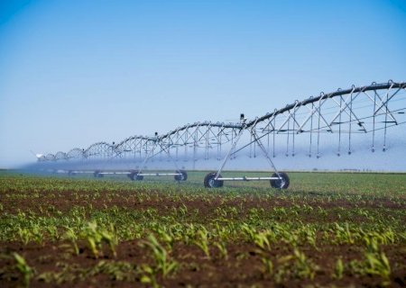 Irrigação transforma produtividade e garante mais segurança ao produtor rural