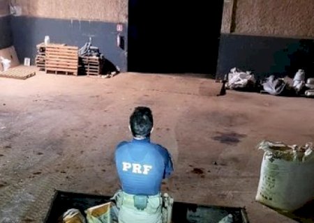 PRF apreende 4 toneladas de maconha em Ponta Porã