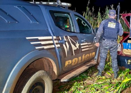 DOF apreende veículo com quase 400 quilos de maconha em milharal