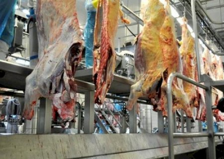 Exportações da indústria de MS batem recorde histórico e chegam a US$ 3,83 bilhões no semestre