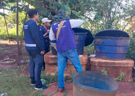 Chikungunya chega a 30 mortes em MS e Dourados registra novo óbito