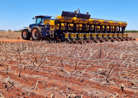 Plantio da safra de soja 2026/2027 começou; veja os números e os desafios para o produtor