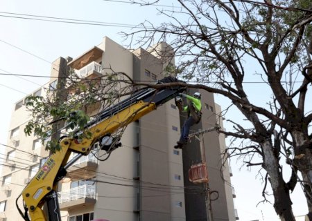 Trabalho preventivo da Prefeitura contribui para que Dourados não registre quedas de árvores durante temporal
