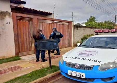 PM regulamenta aplicativo para acompanhar vítimas de violência doméstica em MS