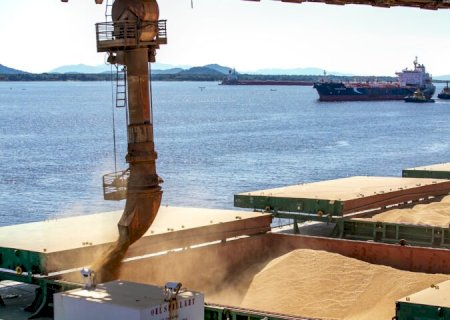 Agronegócio impulsiona exportações de MS, que crescem 12,5% até setembro
