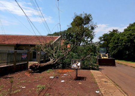 Prefeitura de Dourados remove árvores após chuva intensa e ventos de até 80 km/h