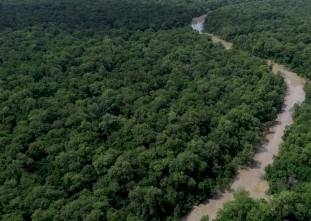 Desmatamento cai 41,8% na Amazônia e 23,8% no Cerrado em um ano